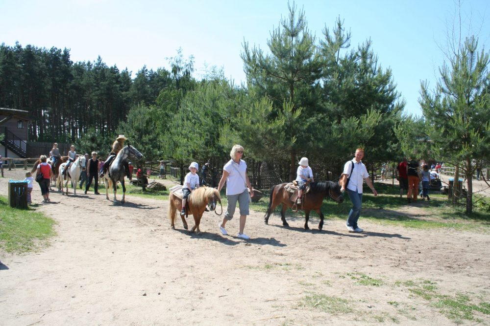 Ponyreiten