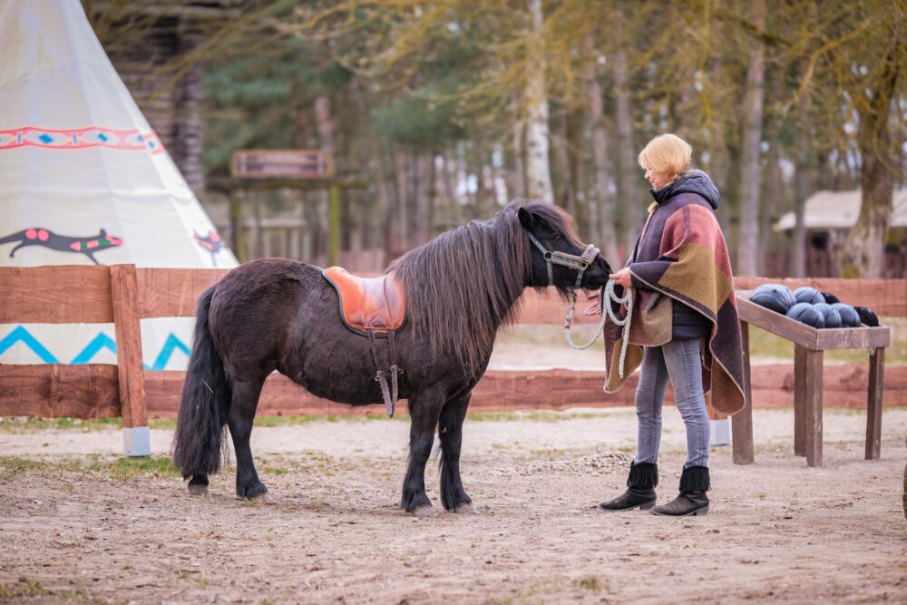 Pony reiten