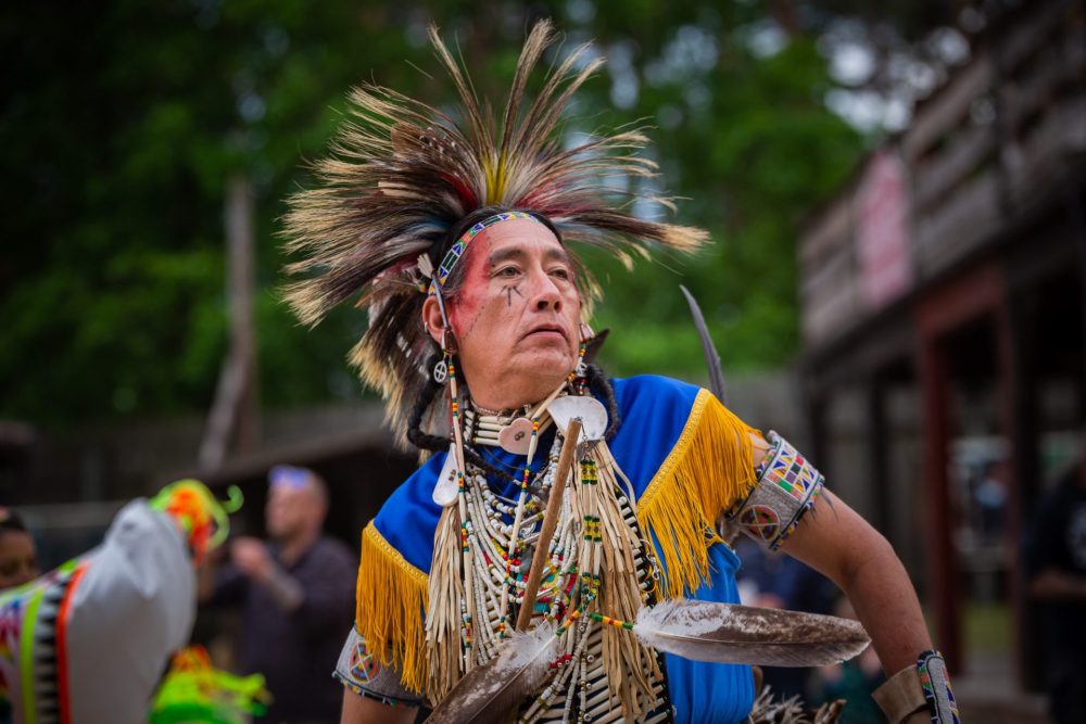 Echoes of the Ancestors